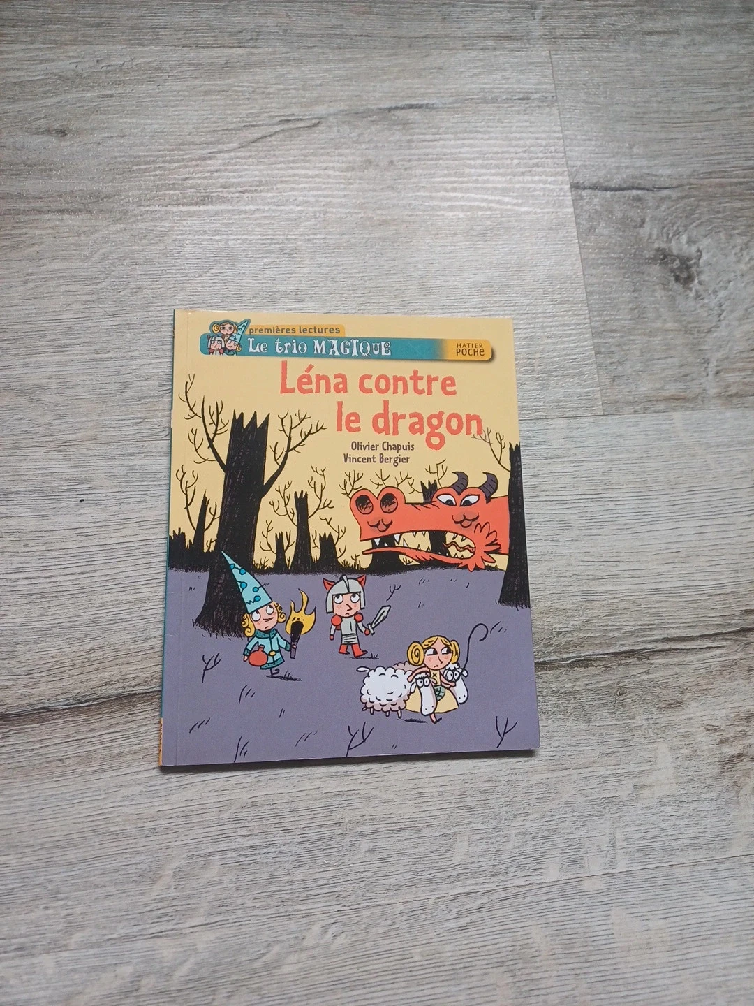 Livre enfant léna contre le dragon